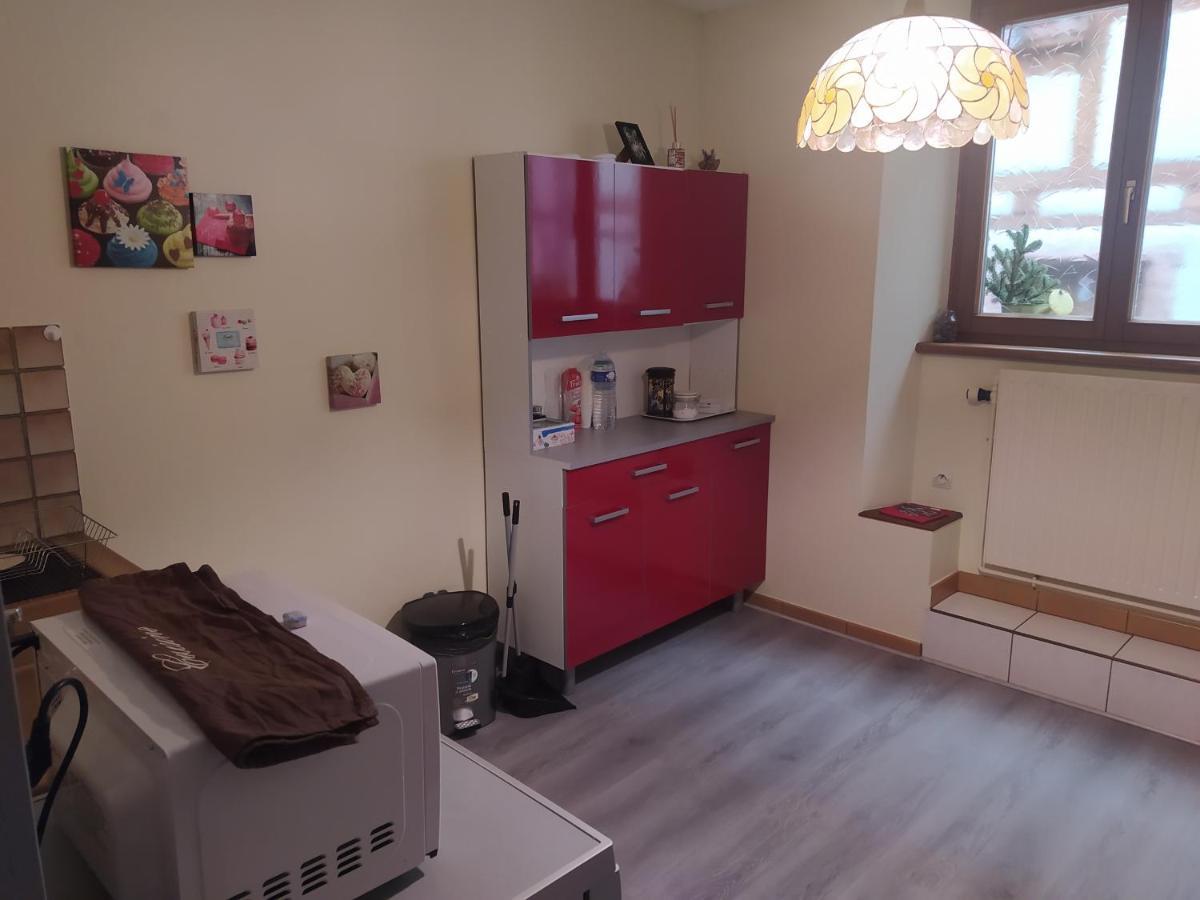 Chey Mybam, Agreable Maison Au Centre De Selestat 빌라 외부 사진